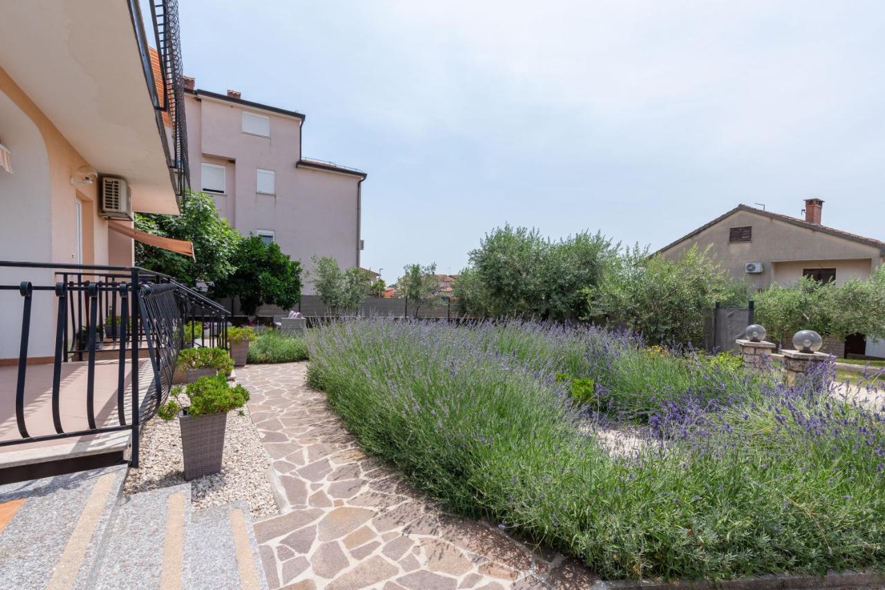 Apartment Masha Novigrad Istria Extérieur photo